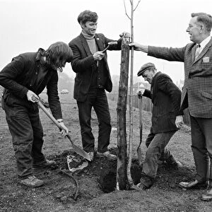Tree planting at Guisborough. 1973