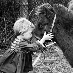 Two-year-old Serena Marler face to face with her pet Shetland pony, Delhi
