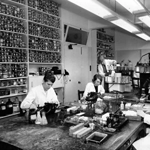 A view of the Histology Department of the Cardiff Royal Infirmary. February 1966