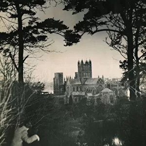 Wells Cathedral Somerset photographed from between two trees 12th century Gothic