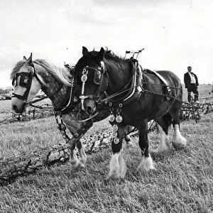 West Hallam Ploughing 15th September 1980