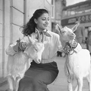 A woman with two goats that appear in the show "Tea House of August Moon"