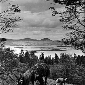 Woman and horse at Loch Lomond. Loch Lomond is a freshwater Scottish loch which crosses