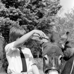 Nine year old girl with donkey at the Donkey racing championships May 1975