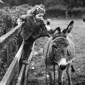 A young girl stroking a donkey November 1944 P011870
