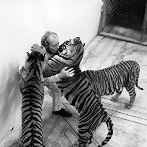Zoo owner John Aspinall is well known for his fearless escapades with his pet tigers
