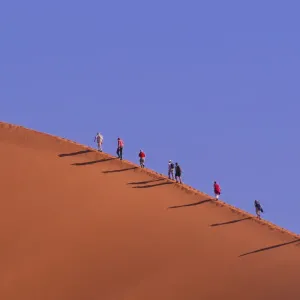 Sossusvlei Sand Dune Hike Print Sossusvlei Sand Dune Hike Print