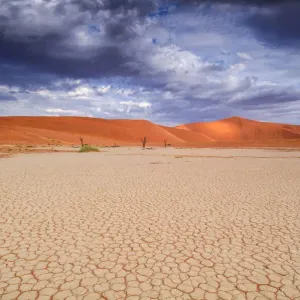Sossusvlei Sand Dunes Print Sossusvlei Sand Dunes Print