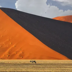 Gemsbok Print - Sossusvlei Landscape in Namib-Naukluft National Park Gemsbok Print - Sossusvlei Landscape in Namib-Naukluft National Park