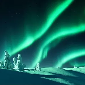 Aurora borealis. Northern lights in winter forest. Sky with polar lights and stars. Night winter landscape with aurora and pine tree forest