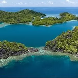 Beautiful and diverse coral reefs surround the dramatic limestone islands that rise from Raja Ampat's varied seascape