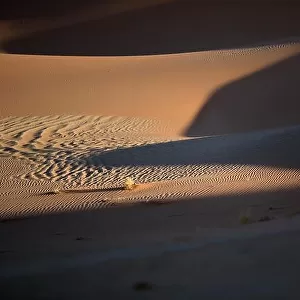 Sand dune abstract taken in Sossusveli, Namibia
