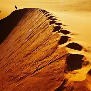 Sand dune climbing, sunrise, Sahara Desert, Algeria