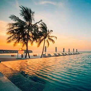 Tranquil infinity swimming pool in sunset sunrise with palm trees and deck chairs and wooden loungers