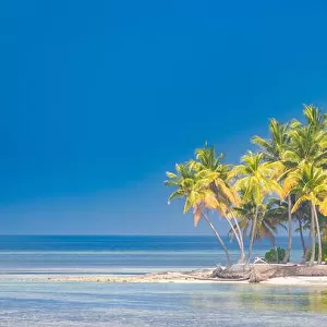 Tropical landscape, palm trees and blue sea. Idyllic beach landscape for banner concept of tropics. Exotic travel destination