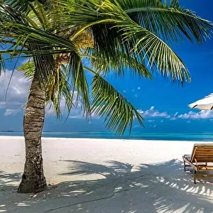 Tropical paradise beach with white sand and coco palms travel tourism wide panorama background. Luxury vacation and holiday banner, tropical beach