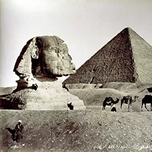 Enchanting view of the Sphinx and the great pyramid of Cheops (Khufu) in Giza. In the foreground, a group of camels standing the arid desert landscape