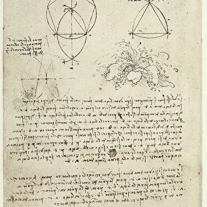 Geometric studies and a plant, drawing by Leonardo da Vinci, part of the Codex B (2173), c.13v, housed at the Institut de France, Paris