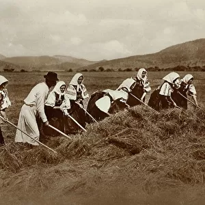 Group of Hungarian farmers