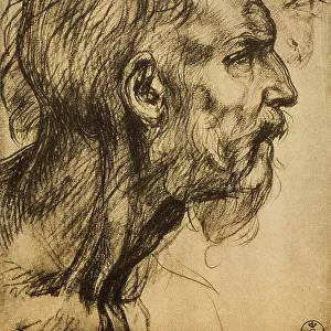 Head of the prophet Zaccaria, drawing, Andrea del Sarto, preserved in the Cabinet of Drawings and Prints. Uffizi Gallery, Florence