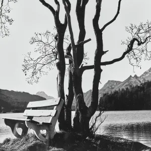Une pique-nique sur le lac. Une pique-nique sur le lac.