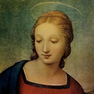 Madonna of the Goldfinch, oil on panel, Raffaello Sanzio (1483-1520), Uffizi Gallery, Florence