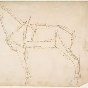 Metric survey of a horse in profile from the left, drawing, Andrea del Verrocchio (1435-1488), Metropolitan Museum of Art, New York