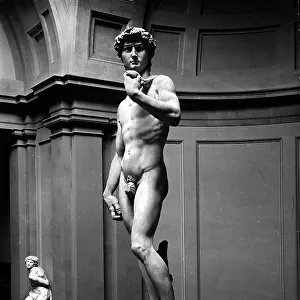 Michelangelo's David. The photo shows the statue of David shot from a raised point of view; the work is located in the Hall of the Academy of Art in Florence