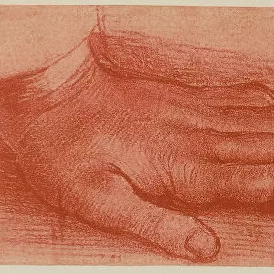 Study of a left hand, sanguine drawing on paper with a light yellow background by Leonardo da Vinci and preserved at the Royal Library of Windsor