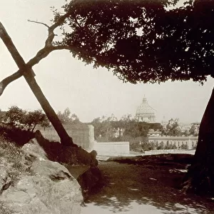Tasso's oak on the Janiculum in Rome. In the background Saint Peter's dome