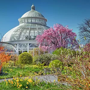 New York, Bronx, NY Botanical Garden, Enid A. Haupt Conservatory