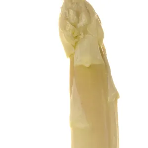 Asparagus Asparagus
