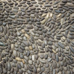 Cobblestone Pavement Print
