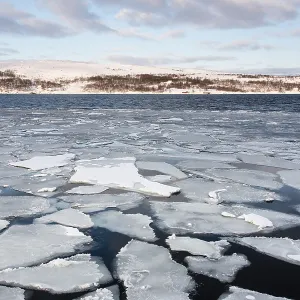 Barents Sea, Fjord of Kirkenes, Kirkenes, Finnmark, Norway, Europe