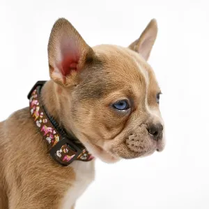 Prints of : Category Pets
