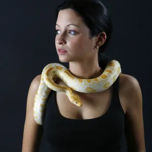 Albino Woman with Indian Python Print (Python molurus) Albino Woman with Indian Python Print (Python molurus)
