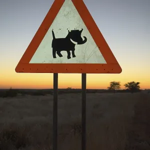 Caution Label to Beware of Warthogs Print, Windhoek, Namibia