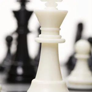 Chess Print on White Studio Background, Novosibirsk, Russia Chess Print on White Studio Background, Novosibirsk, Russia