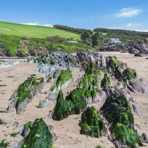 Bantham Beach Cliffs Print, Devon Coastline Bantham Beach Cliffs Print, Devon Coastline