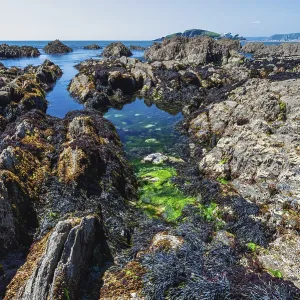 Bantham Beach Cliffs Print, Devon Coastline Bantham Beach Cliffs Print, Devon Coastline