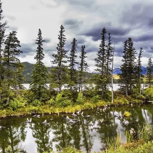 concept, concepts, deserted, no one, No People, nobody, uninhabited, empty, surface, surfaces, active, vegetation, vegetations, water, waters, waterfront, valley, valleys, Mountain Range, Mountains, wetland, wetlands, wet land, wetland biotope