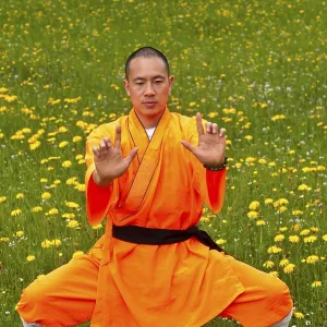 daytime, day, daylight, Buddhism, meditation, meditations, faith, belief, religion, religions, battle, battles, man, men, men's, man's, guy, guys, Citrus sinensis, Citrus x sinensis, Citrus fruit, Citrus, Citrus fruits, China