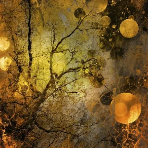 Dreamy Background Print Dreamy Background Print