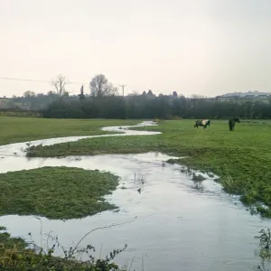 Dorset Collection: Chetnole