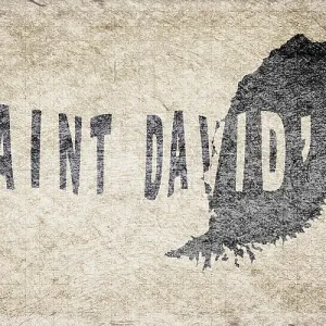 Grenada Saint Davids Retro Typography Print Map Grenada Saint Davids Retro Typography Print Map