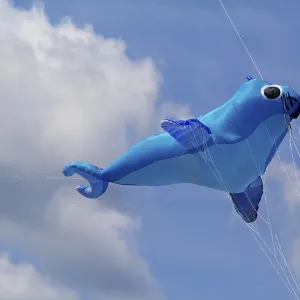 A Kite in the Sky Print