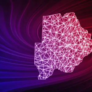 Botswana Polygonal Mesh Line Print Map Botswana Polygonal Mesh Line Print Map