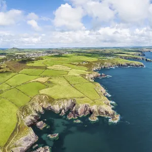Porthclais Panorama Print, St Davids, Wales Porthclais Panorama Print, St Davids, Wales