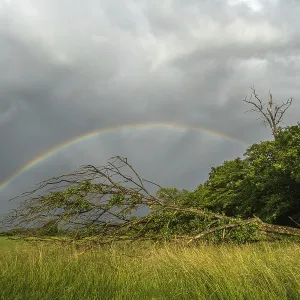 Rainbow Over Storm-Damaged Countryside Print Rainbow Over Storm-Damaged Countryside Print