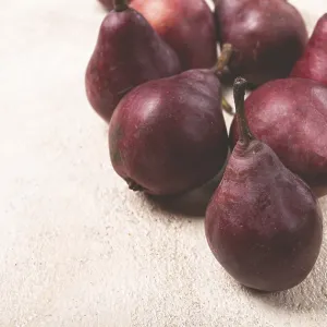 Red Pears Print - Selective Focus Red Pears Print - Selective Focus
